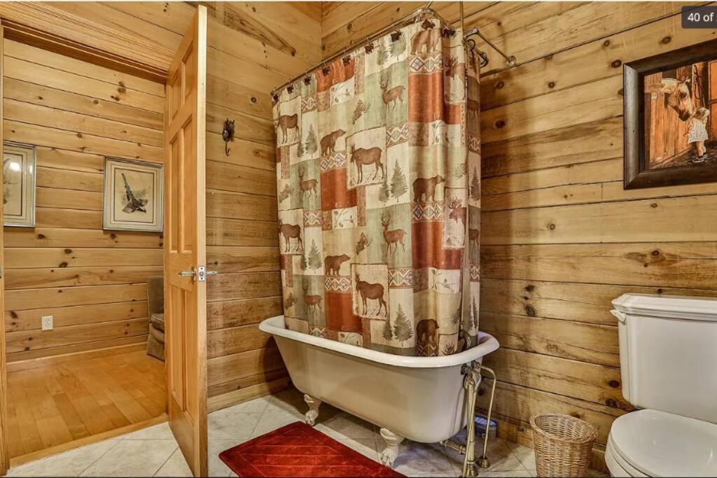 Blue Ridge Bliss- Spacious Cabin, Pets, Hot Tub! Eksteriør billede